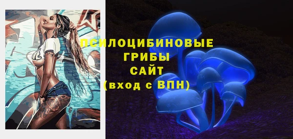 круглые Алзамай