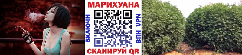 Бошки Шишки THC 21% нарко площадка клад Бирюч цены наркотик ОМГ ОМГ как войти